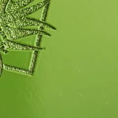 Superficie laqueada en verde con parte de un logotipo grabado, de una caja hecha para Sentir